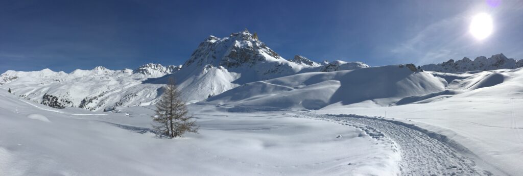 L’attribut alt de cette image est vide, son nom de fichier est IMG_5205-1024x345.jpg.